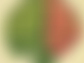 Study: Lean Toward Plant-Based Proteins at Midlife