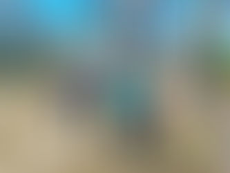 Why Perceptions of Aging Matter