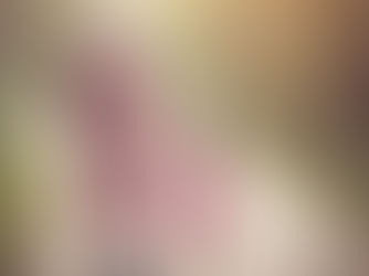 Women’s, Girls’ Nonprofits Receive Limited Charitable Giving