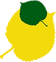 logo_nur_Blätter_farbig.png