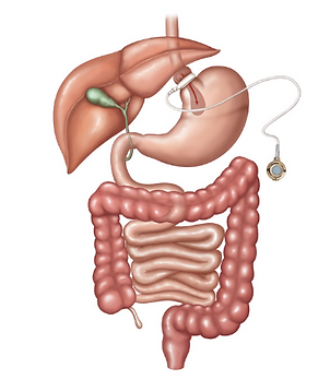 image (3).png