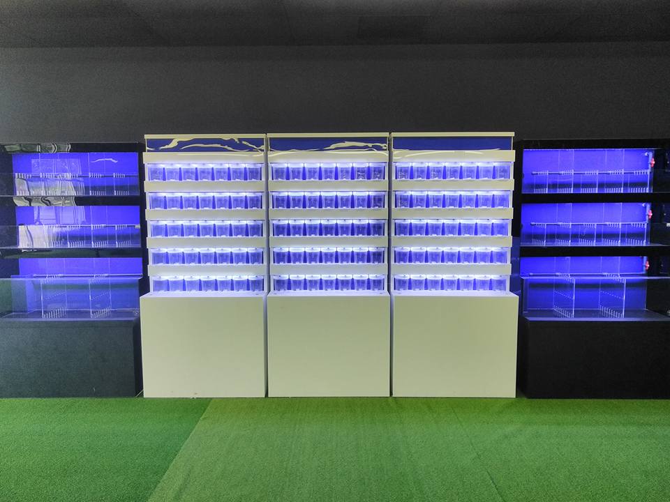 Sumps Custom Aquariums Retail Displays