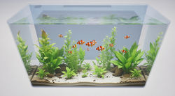 reg29 white