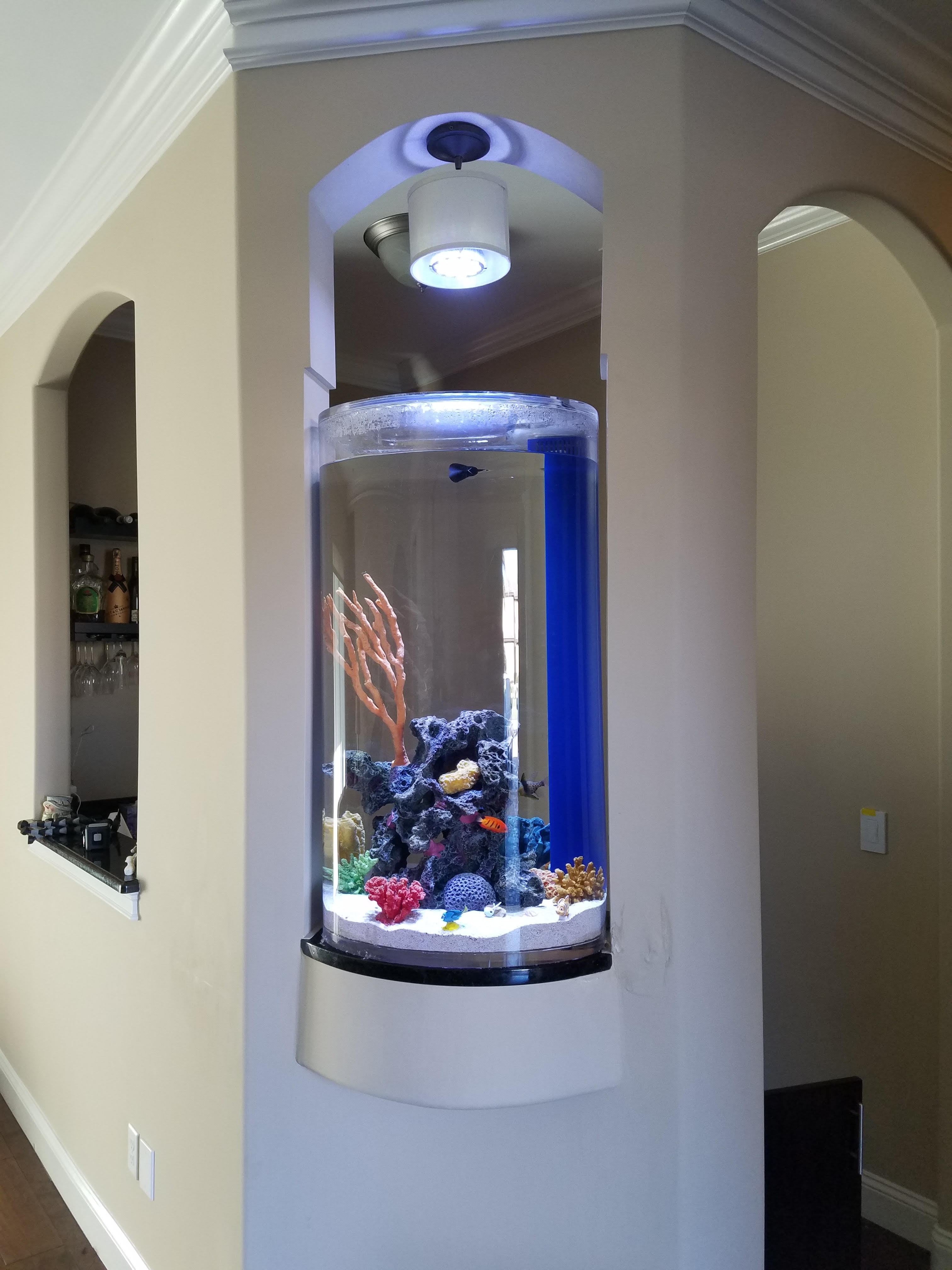 Sumps Custom Aquariums Retail Displays