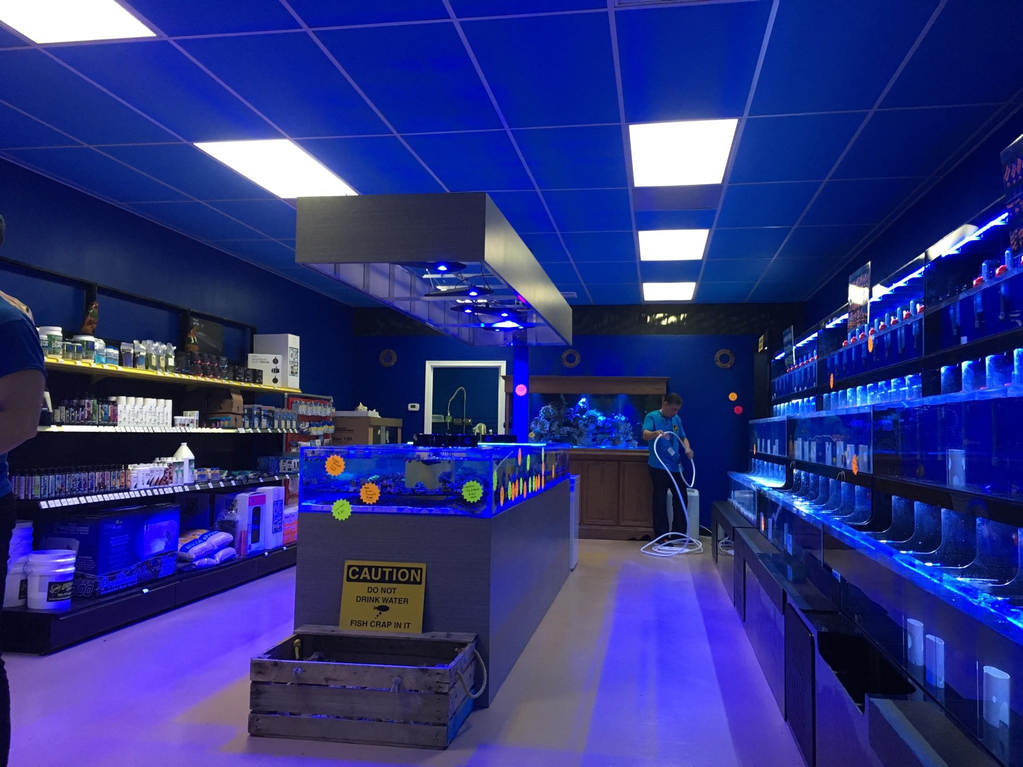 retail aquarium display for sale