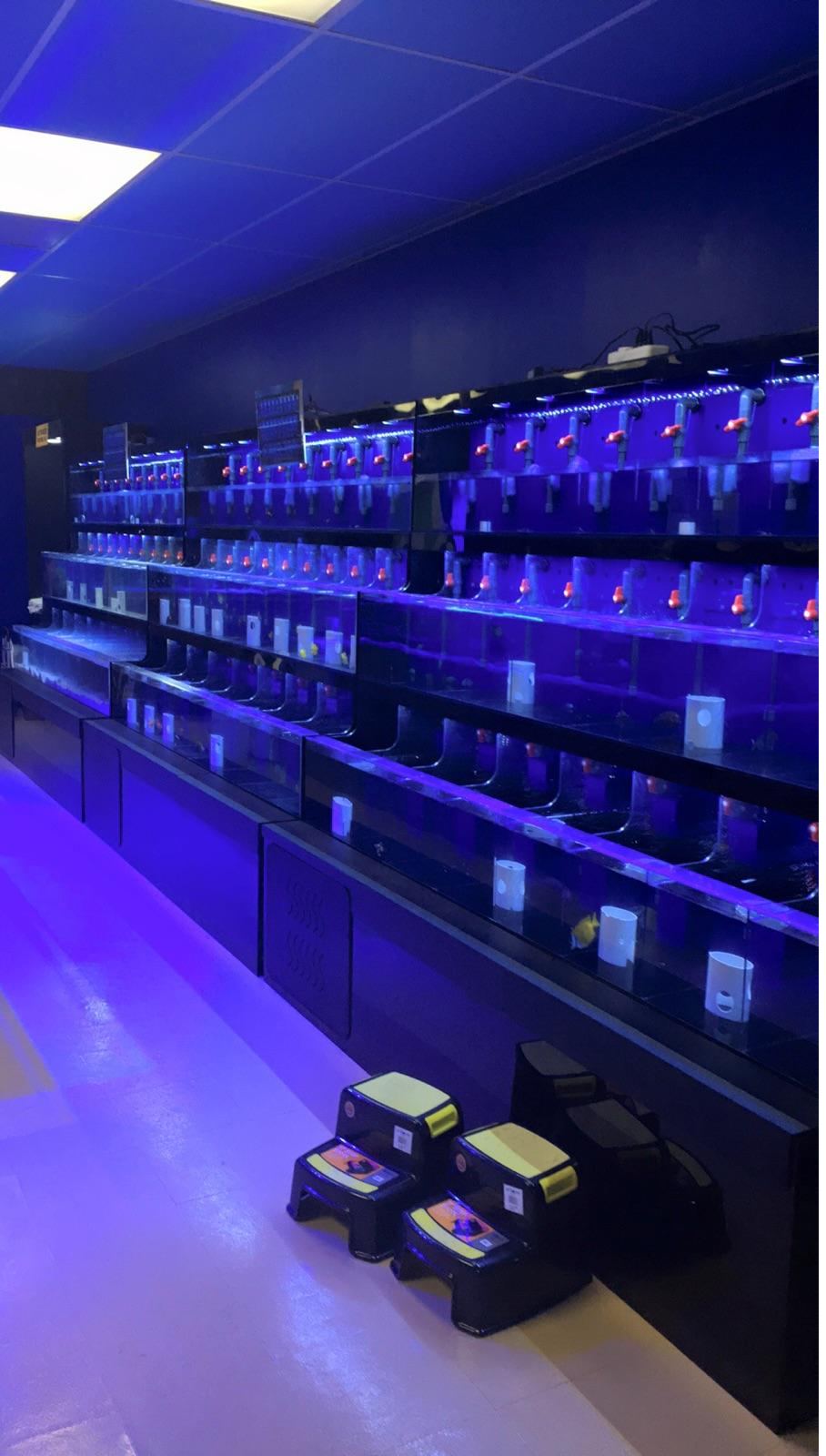 Aquatic Retail Displays