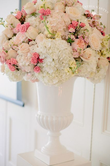 Miniatura: Hydrangea