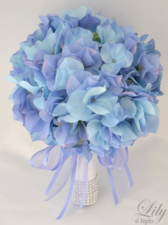 Miniatura: Hydrangea
