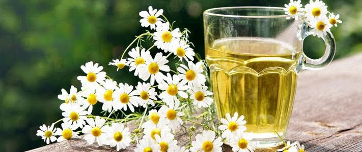 Miniatura: Chamomile