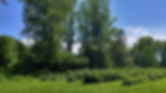 Agriculture raisonnée