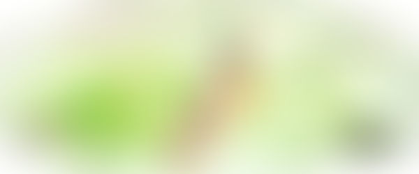 最新掌編公開