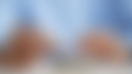 Access to Finance in 2025: The Six Mistakes That Quietly Hold Founders Back - And How to Fix Them