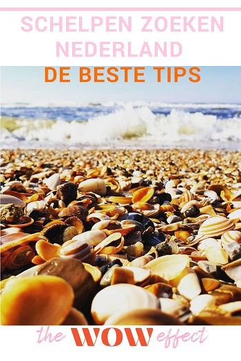 schelpen zoeken nederland