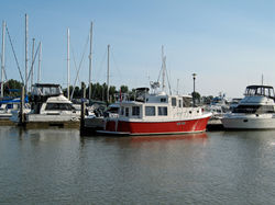 Captain's Cove Marina