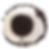 Oreo Crumb