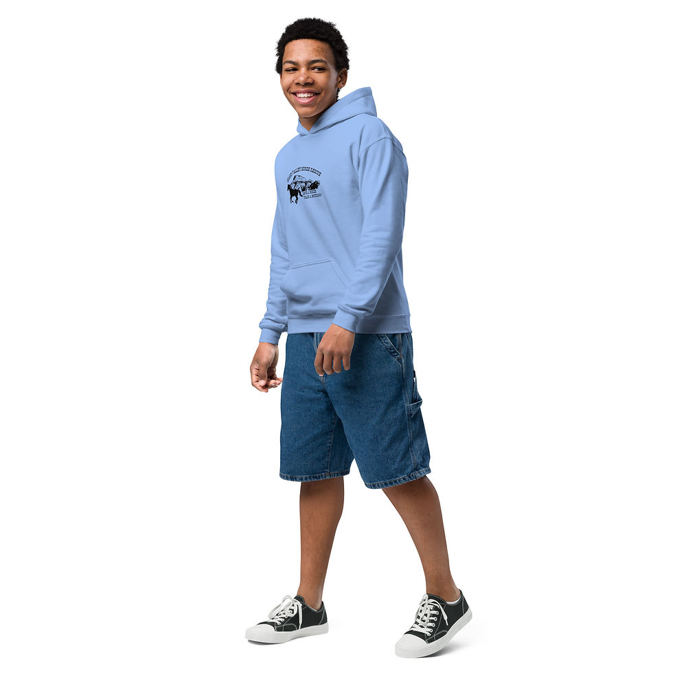 Thumbnail: Youth heavy blend hoodie