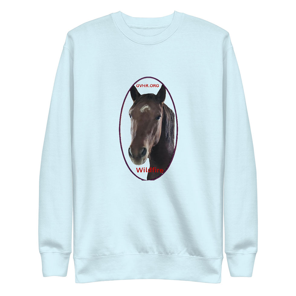 Thumbnail: Unisex Premium Sweatshirt