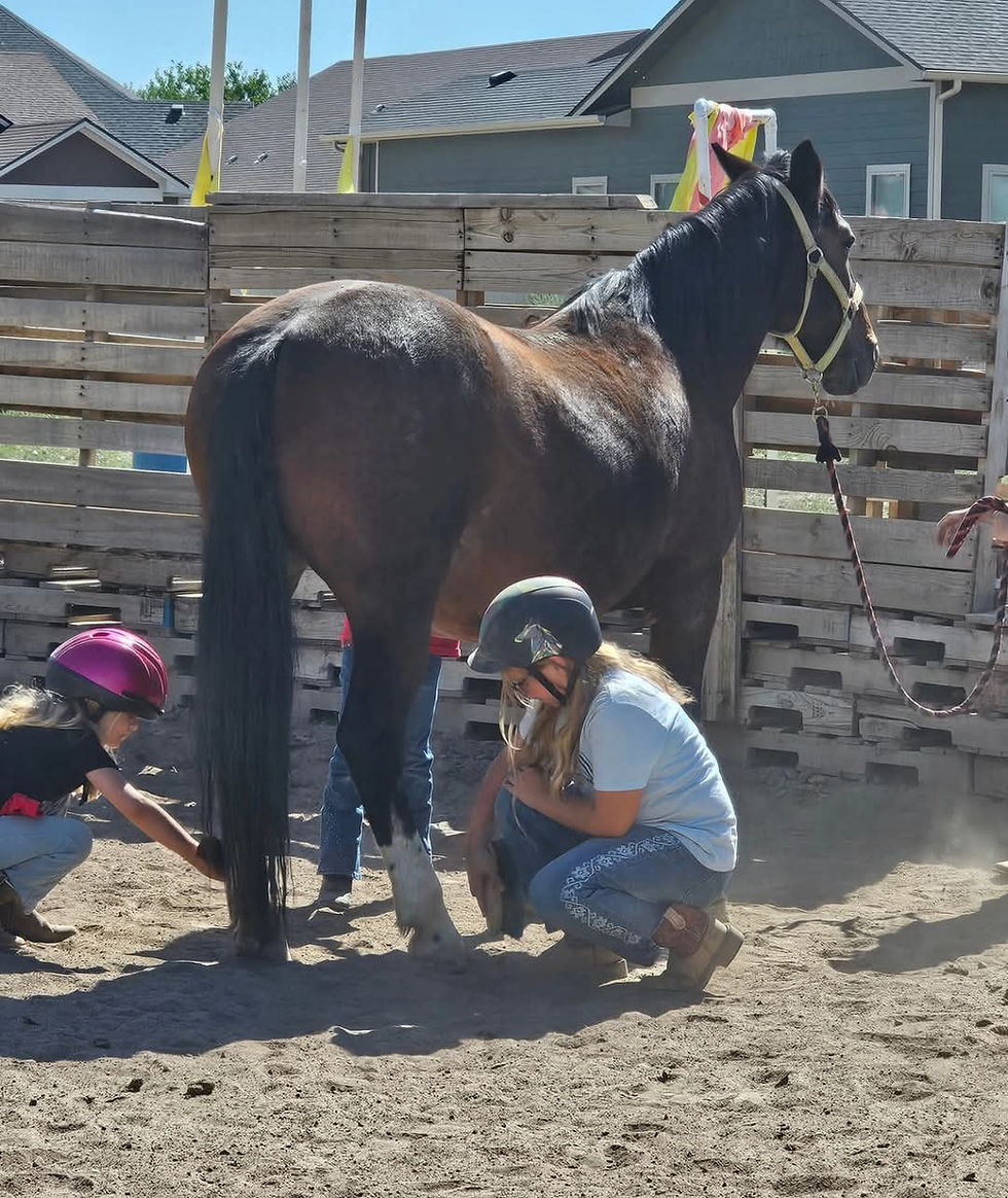 Introduction to Saturday Wrangler Program