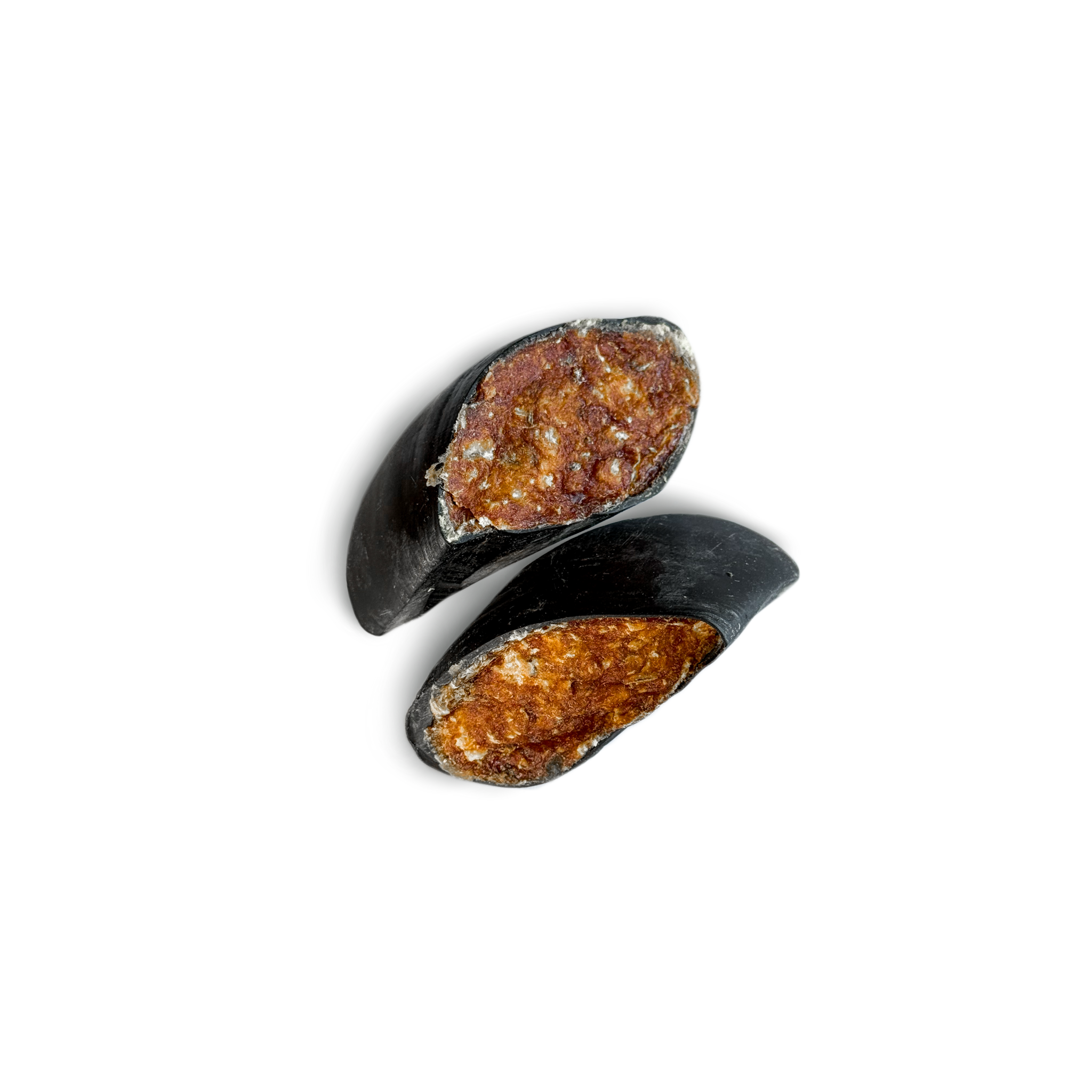 Casco Recheado Porco 2 unid - Luv