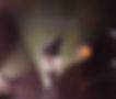 C36A8677.jpg