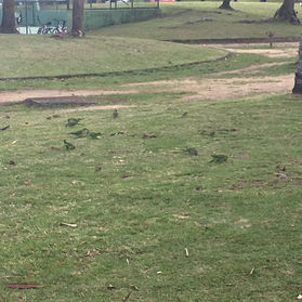 ATERRO_2019 (24).JPG