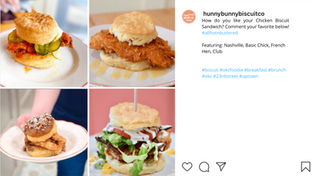 hunnybunny instagram post.png