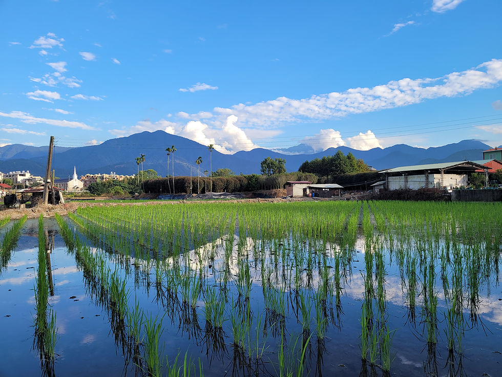 室外風景