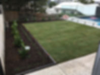 IMG_0167.jpeg