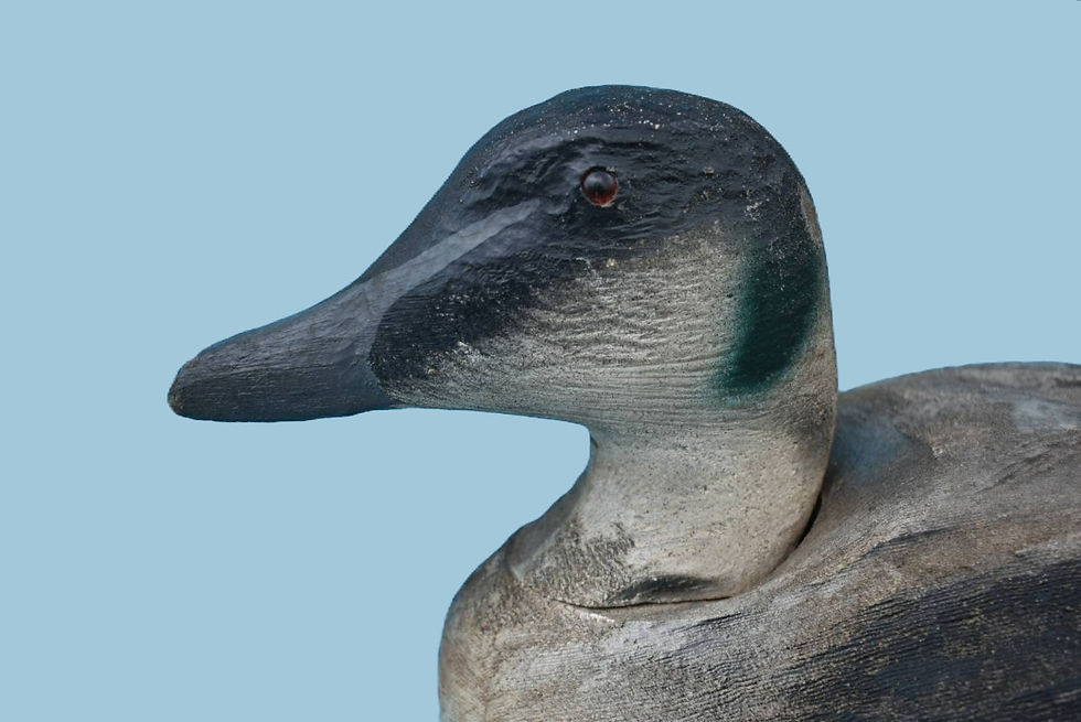 Thumbnail: Herters Eider Duck Decoy