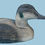 Thumbnail: Herters Eider Duck Decoy