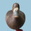 Thumbnail: Hen Bluebill Duck Decoy by R. Madison Mitchell