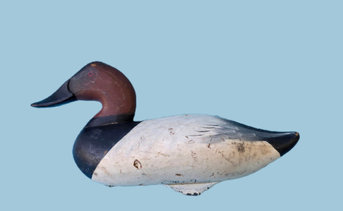 Canvasback Drake Duck Decoy by Charlie Joiner | Wye River Antiques