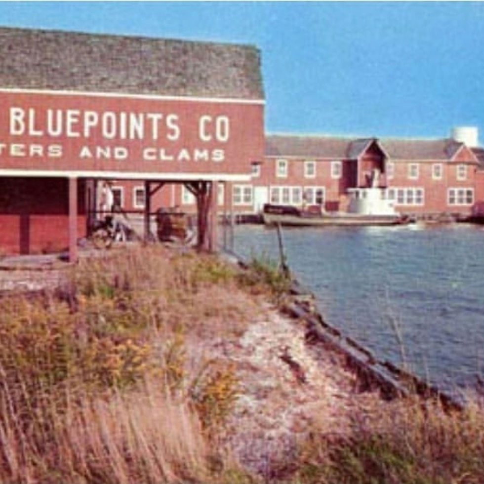 Thumbnail: Blueponts in West Sayville Long Island New York