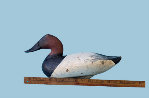 Canvasback Drake Duck Decoy by Charlie Joiner | Wye River Antiques