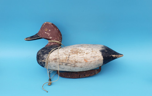 Canvasback Duck Decoy by Doug Jester from Chincoteague Virginia