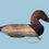 Thumbnail: Antique duck decoy from Havre de Grace Maryland