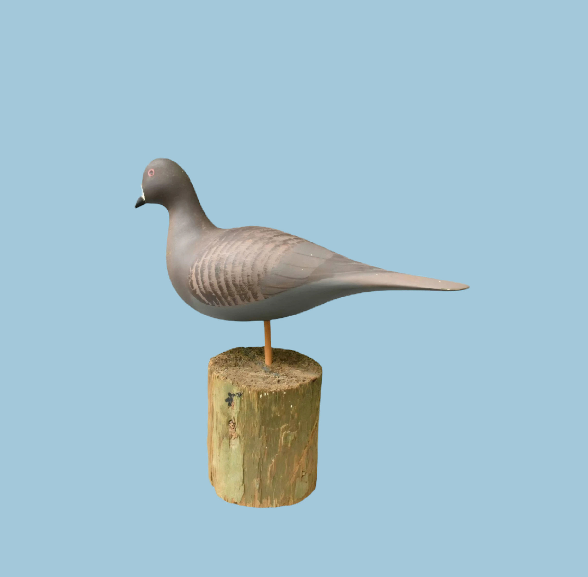 Vintage wooden hand carved Pigeon decoy by Tom Harmon
