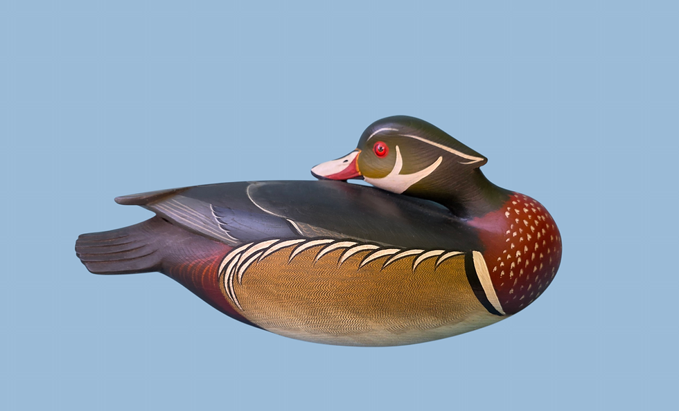 George Strunk Riffle Wood Duck Decoy Pair made by George Strunk | Wye River Antiques