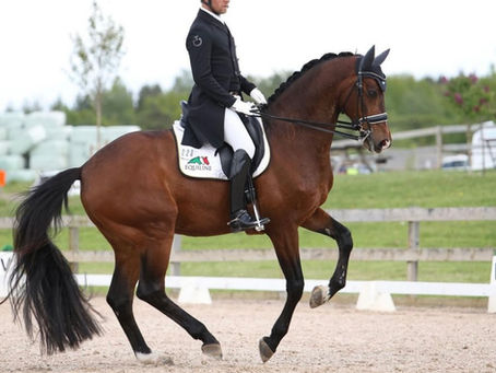 Autograf winning Grand Prix