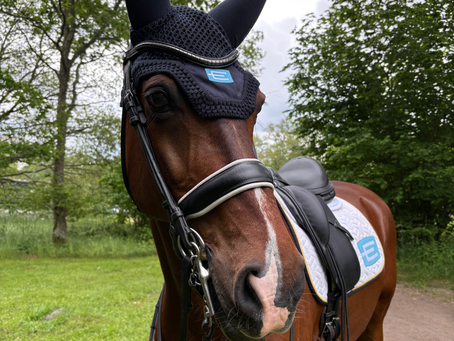 Swedish Championship