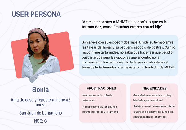 user persona 2.png