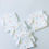 Thumbnail: Star -Muslin Velcro Nappy 