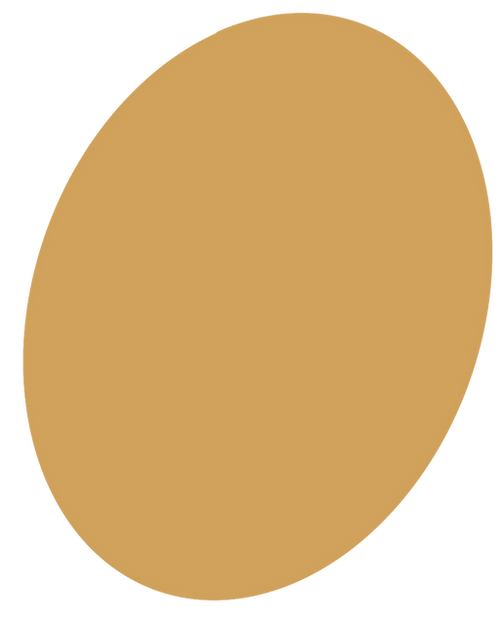 oval jaune.png