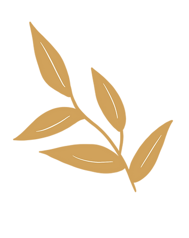 branche jaune_edited.png