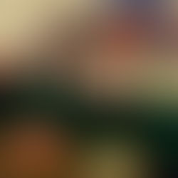 NFVA Annual Giving Campaign 2025