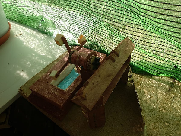 IMG-20180921-WA0000.jpg