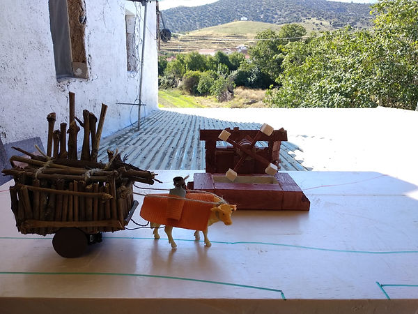 IMG-20180923-WA0005.jpg