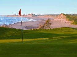 crowe-bush-cove