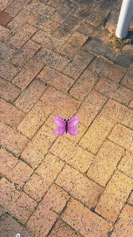 Excursion social skills