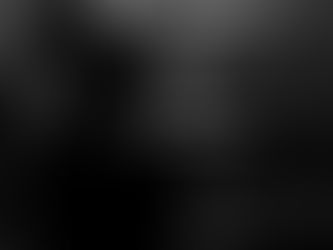 Χαμένη Άνοιξη 🪽